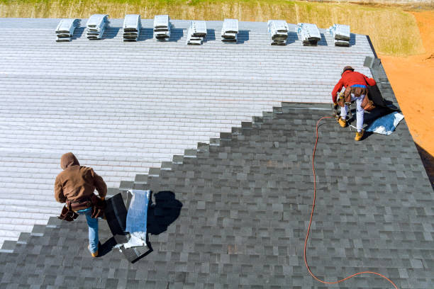 Best Asphalt Shingles Roofing  in Eslon, CA